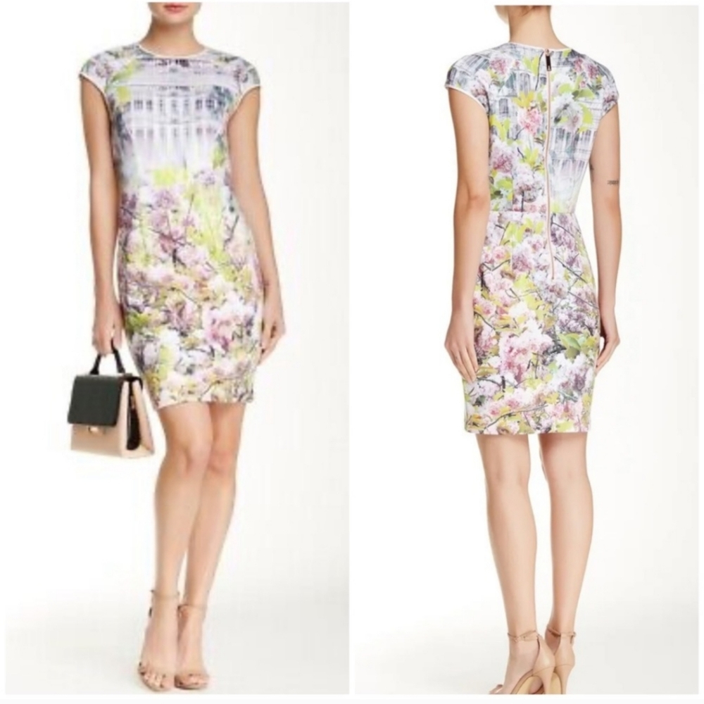 Ted Baker Pancha Window Blossom Fitted Dress